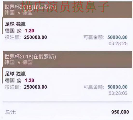 世界杯买球平台整理合集：覆盖稳定性评测与入口方式 - FIFA World Cup 2026